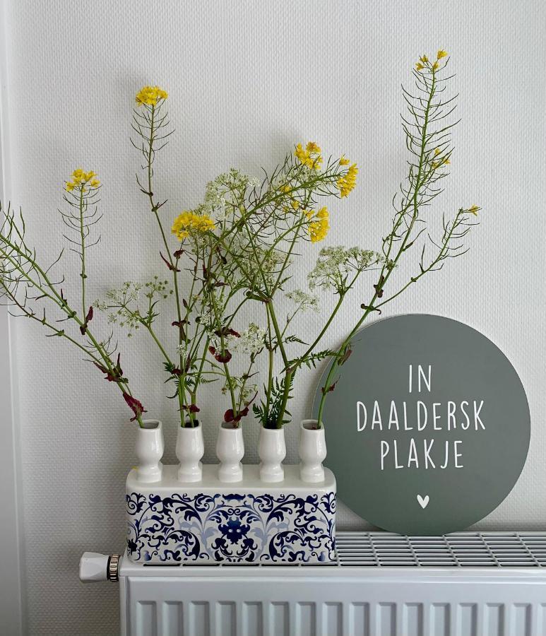 Daalders Plakkie Villa Elahuizen Екстериор снимка